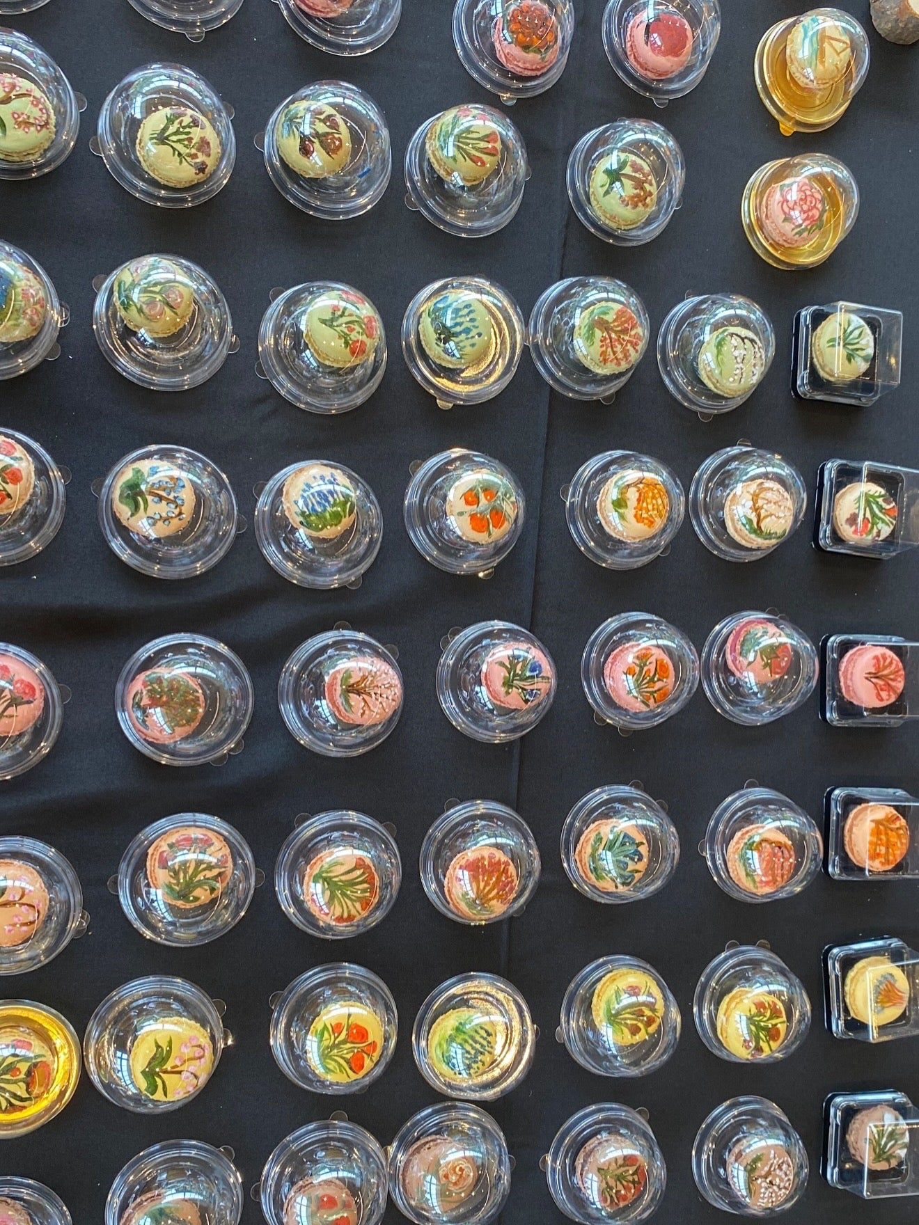 Macarons - The Bloom and Bite Set