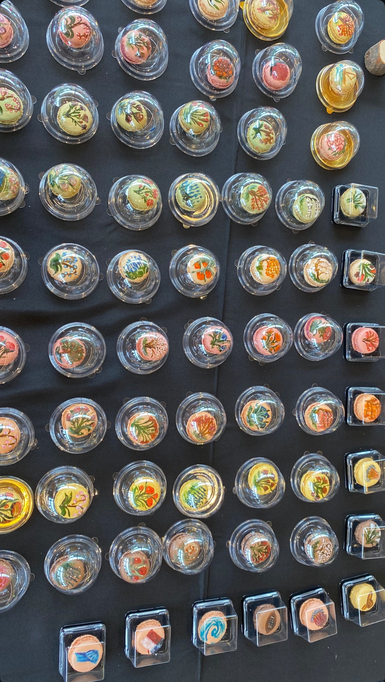 Macarons - The Bloom and Bite Set